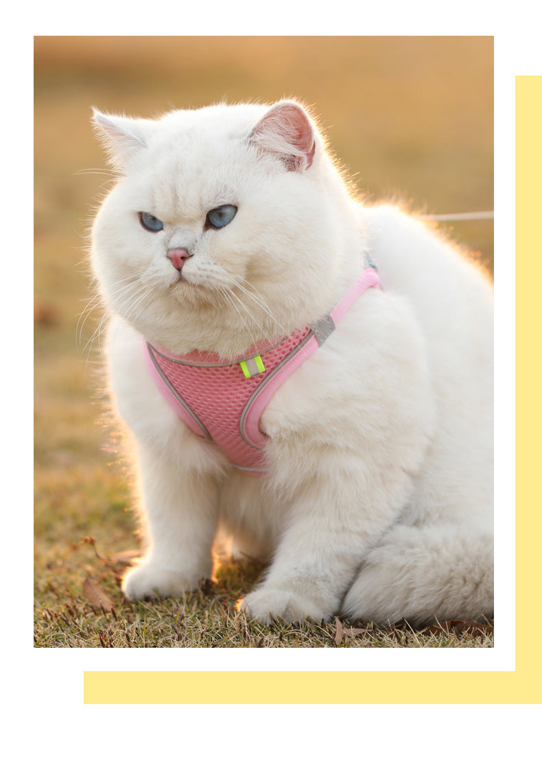 Cat & Dog Harness with Leash Set – Reflective Breathable Vest for Small Pets