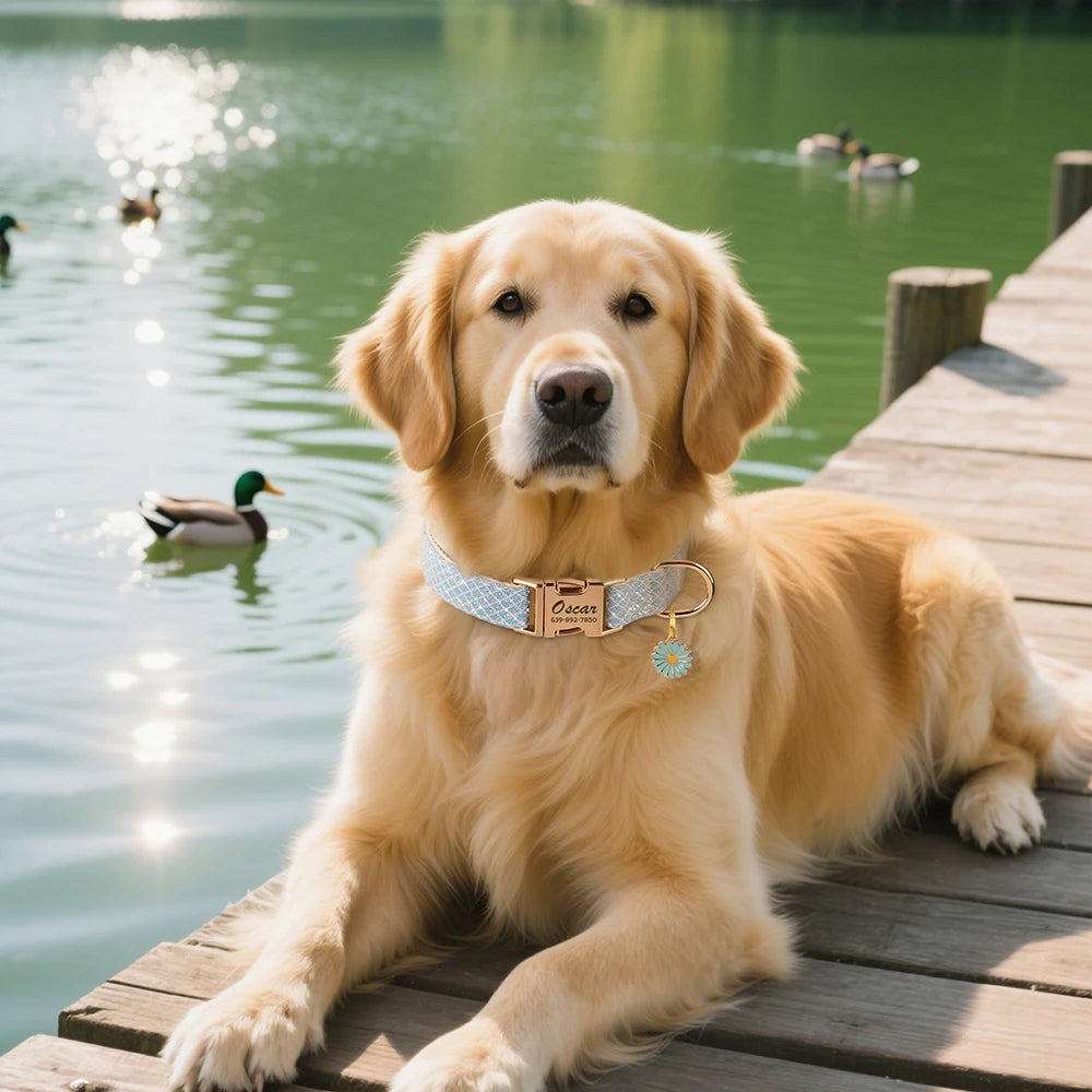 Personalized Bling Nylon Dog Collar – Free Engraved ID Tag with Flower Accessory