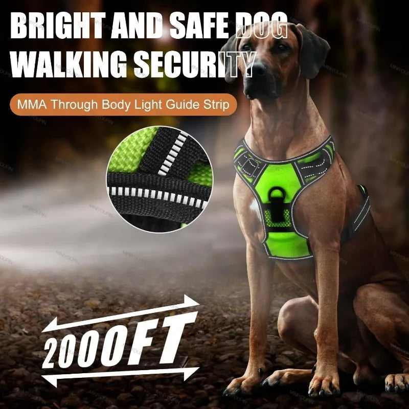 LED Light-Up Dog Harness – Rechargeable Glowing Vest for Safe Night Walks