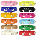 Leather Dog Collar – Durable Bone-Shape Buckle for Small Dogs & Cats