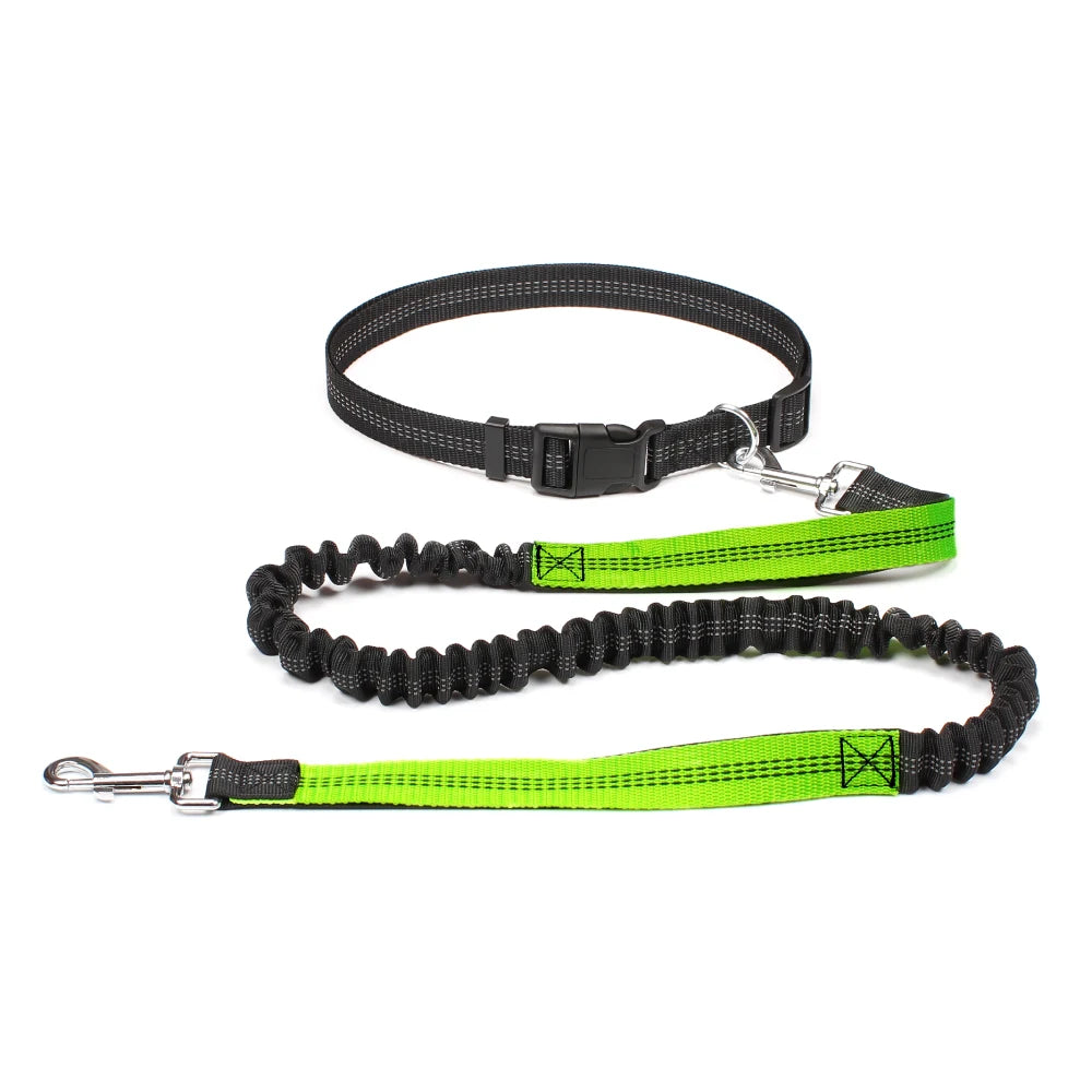Hands-Free Dog Leash with Waist Belt – Adjustable Bungee Leash for Running & Walking