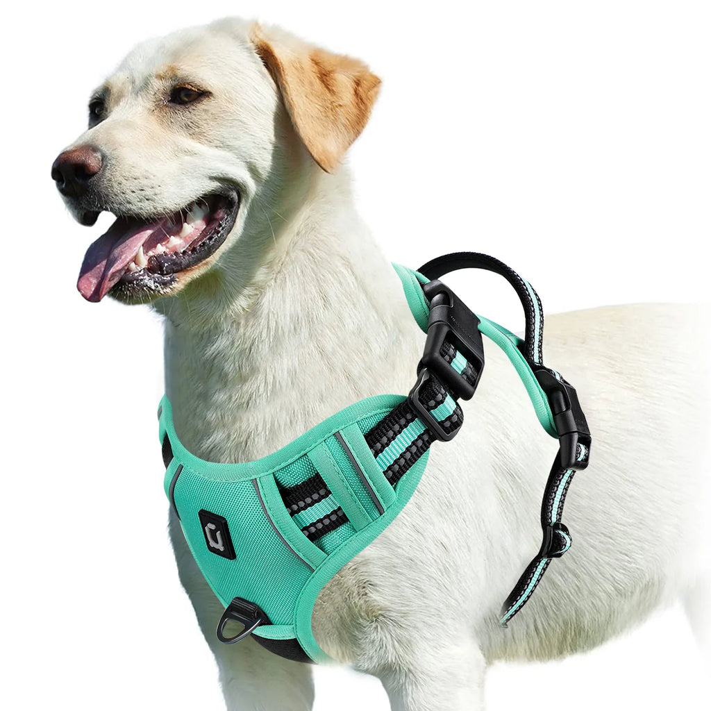 No-Pull Dog Harness – Soft Padded Vest with Easy Control Handle