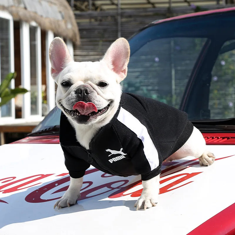 Baseball Dog Jacket – Winter Sweatshirt for Small & Medium Dogs