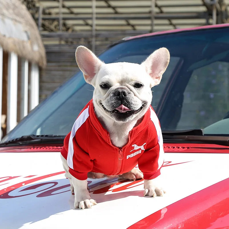 Baseball Dog Jacket – Winter Sweatshirt for Small & Medium Dogs