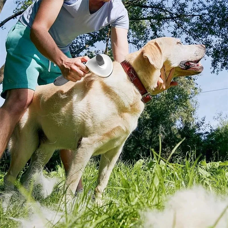 Self-Cleaning Pet Brush – Slicker Brush & Dematting Comb for Dogs & Cats