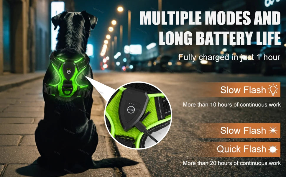 LED Light-Up Dog Harness – Rechargeable Glowing Vest for Safe Night Walks