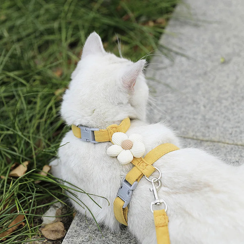 Cute Cat Harness & Leash Set – Adjustable Breathable Escape-Proof Vest