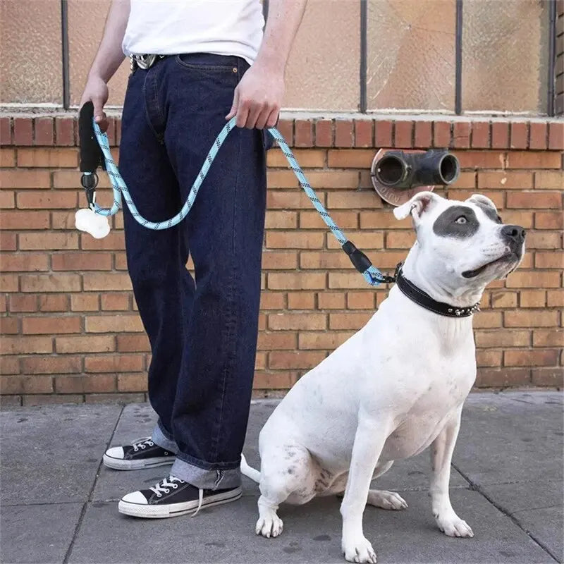 Reflective Dog Leash with Padded Handle – Heavy Duty Double Rope for Strong Dogs