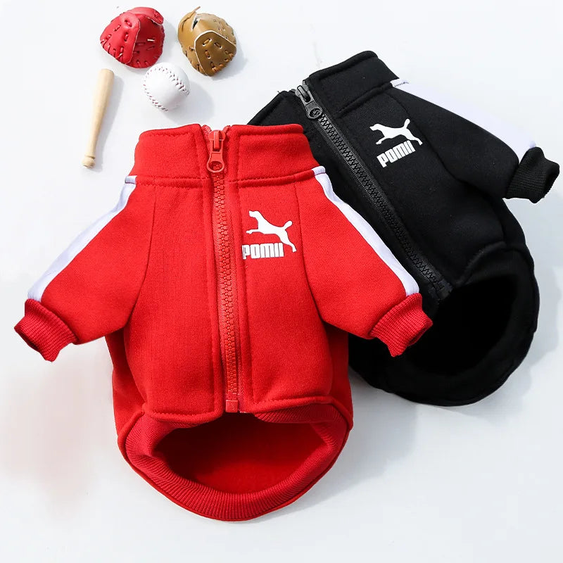 Baseball Dog Jacket – Winter Sweatshirt for Small & Medium Dogs
