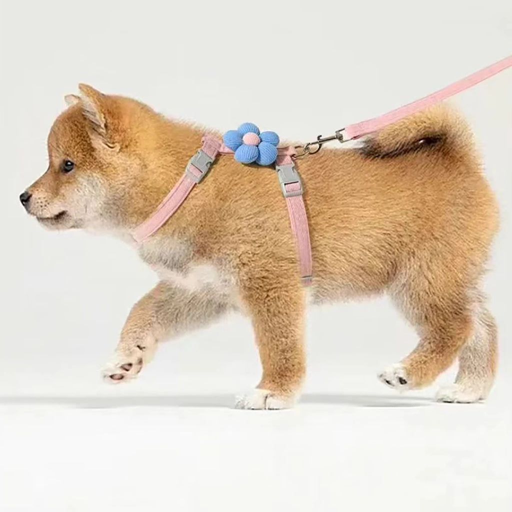 Cute Cat Harness & Leash Set – Adjustable Breathable Escape-Proof Vest