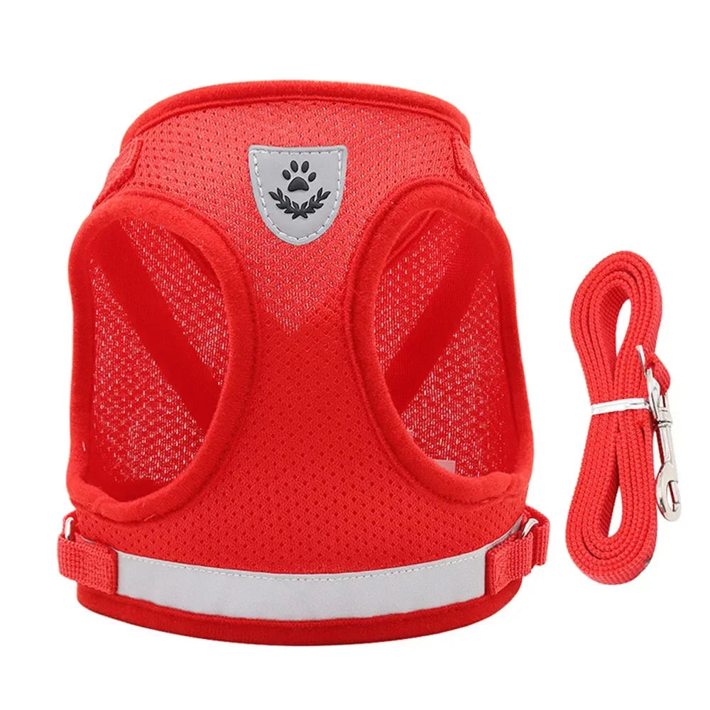 Cat Harness & Leash Set – Adjustable Reflective Escape-Proof Mesh Vest