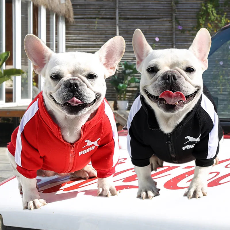 Baseball Dog Jacket – Winter Sweatshirt for Small & Medium Dogs