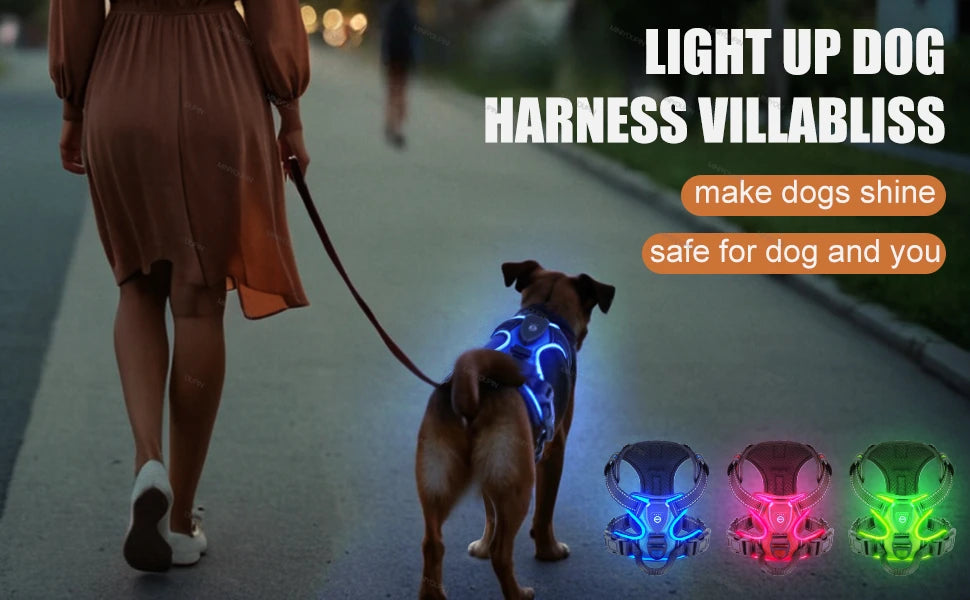 LED Light-Up Dog Harness – Rechargeable Glowing Vest for Safe Night Walks