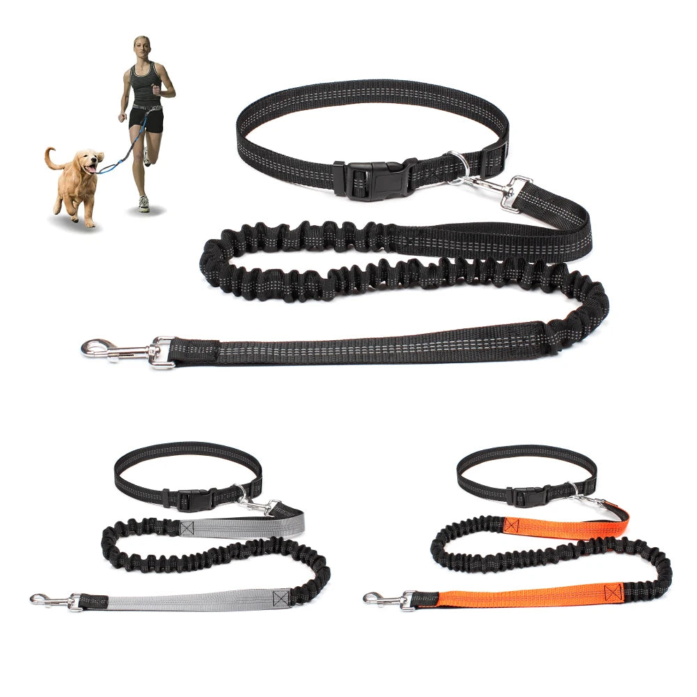 Hands-Free Dog Leash with Waist Belt – Adjustable Bungee Leash for Running & Walking