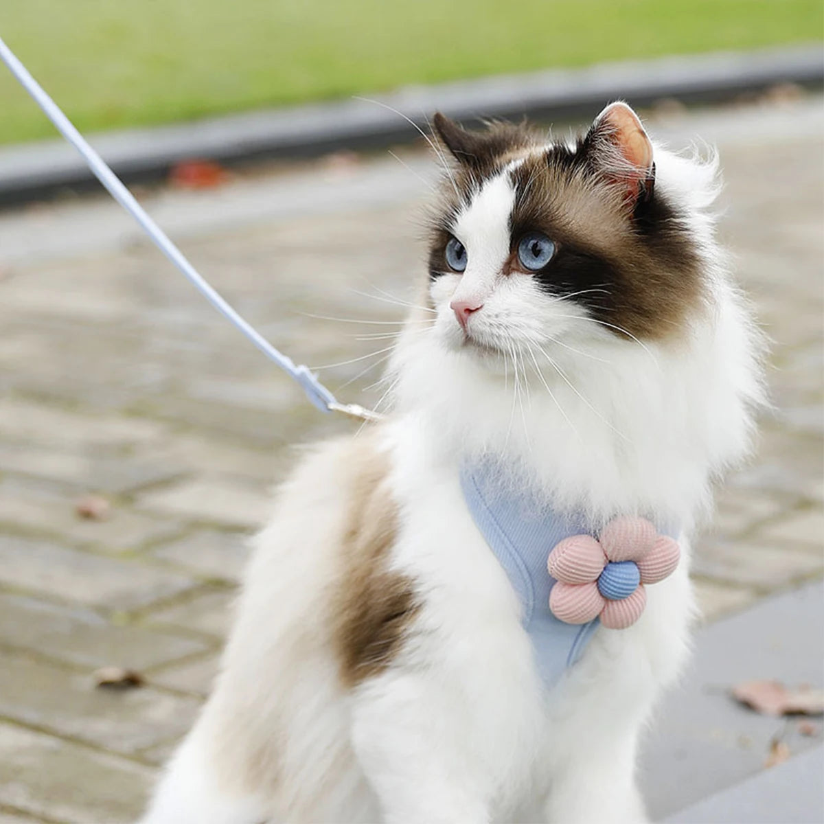 Cute Cat Harness & Leash Set – Adjustable Breathable Escape-Proof Vest