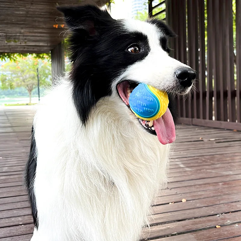 Soft TPR Squeaky Ball for Dogs – Interactive, Bite-Resistant, Teeth Cleaning, 6.5cm