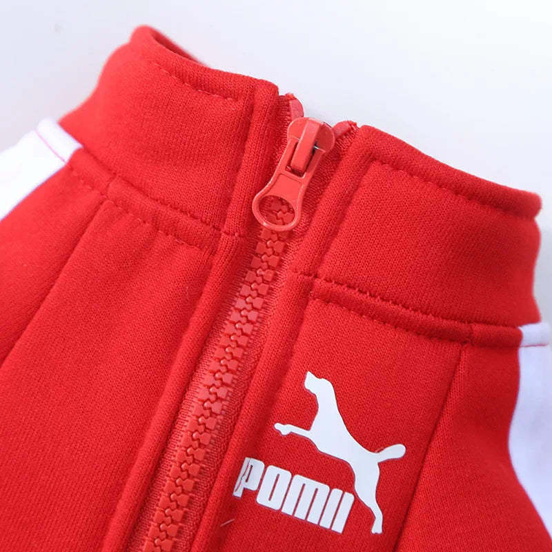 Baseball Dog Jacket – Winter Sweatshirt for Small & Medium Dogs