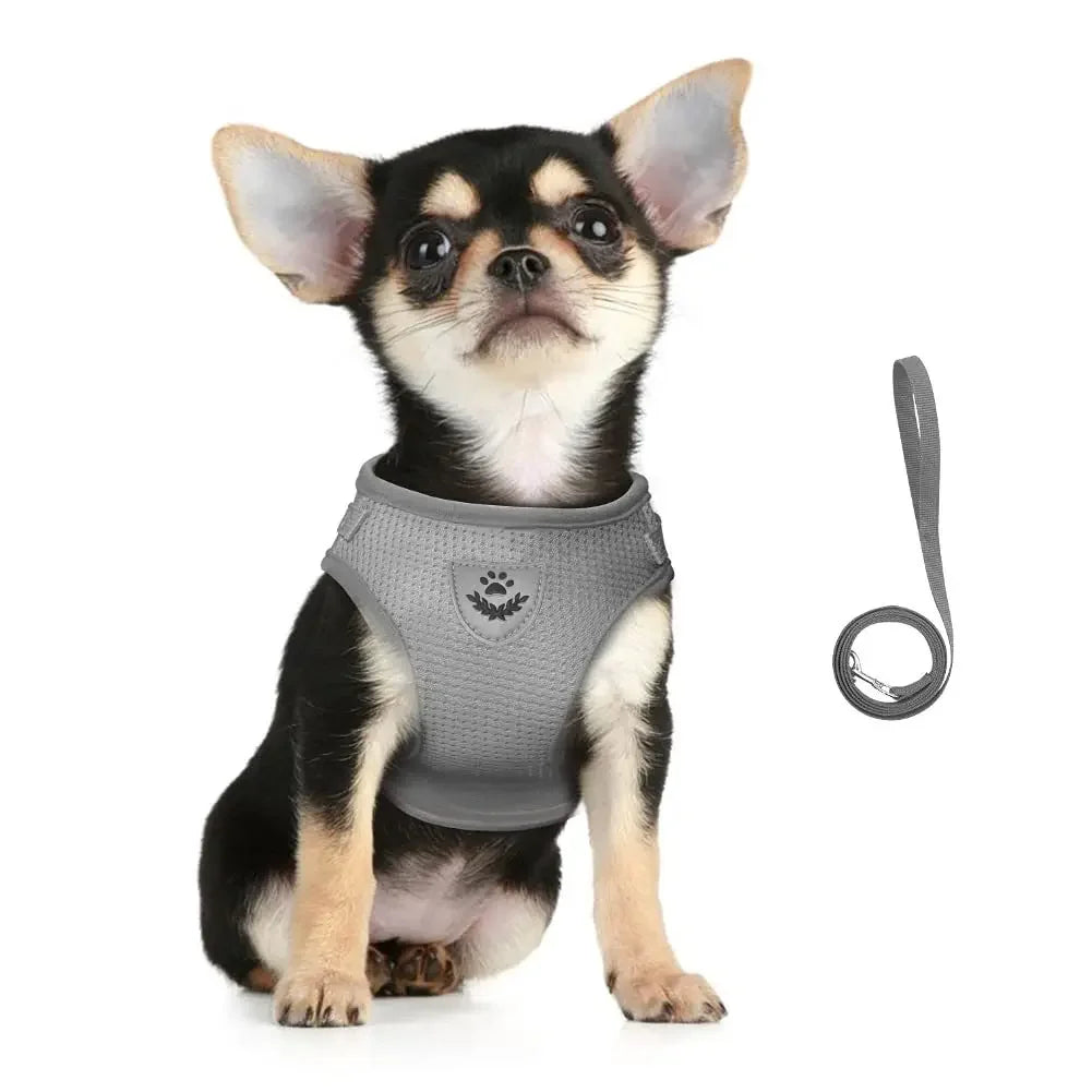 Cat Harness & Leash Set – Adjustable Reflective Escape-Proof Mesh Vest
