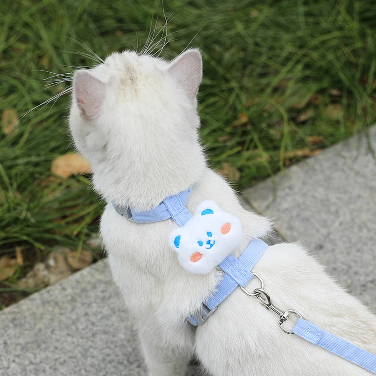 Cute Cat Harness & Leash Set – Adjustable Breathable Escape-Proof Vest
