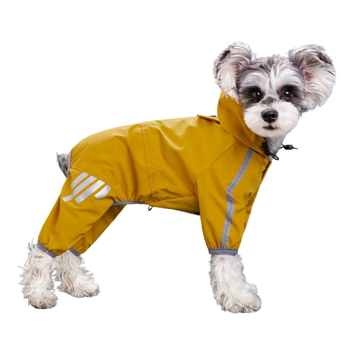 Reflective Waterproof Dog Raincoat – Jumpsuit for Small & Medium Dogs