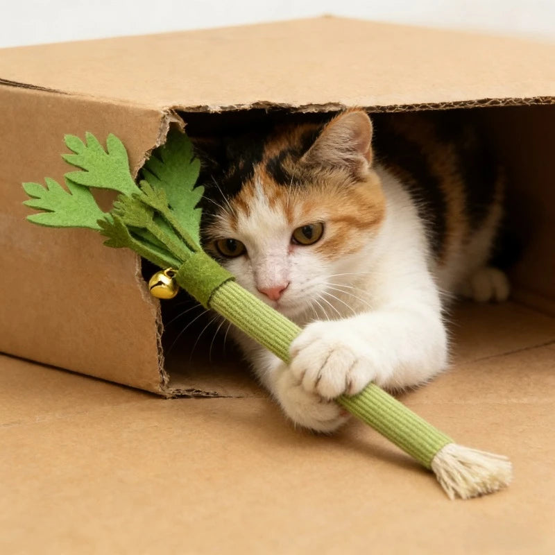 Catnip Molar Stick Cat Toy – Interactive Teeth Cleaning Chew Toy for Cats