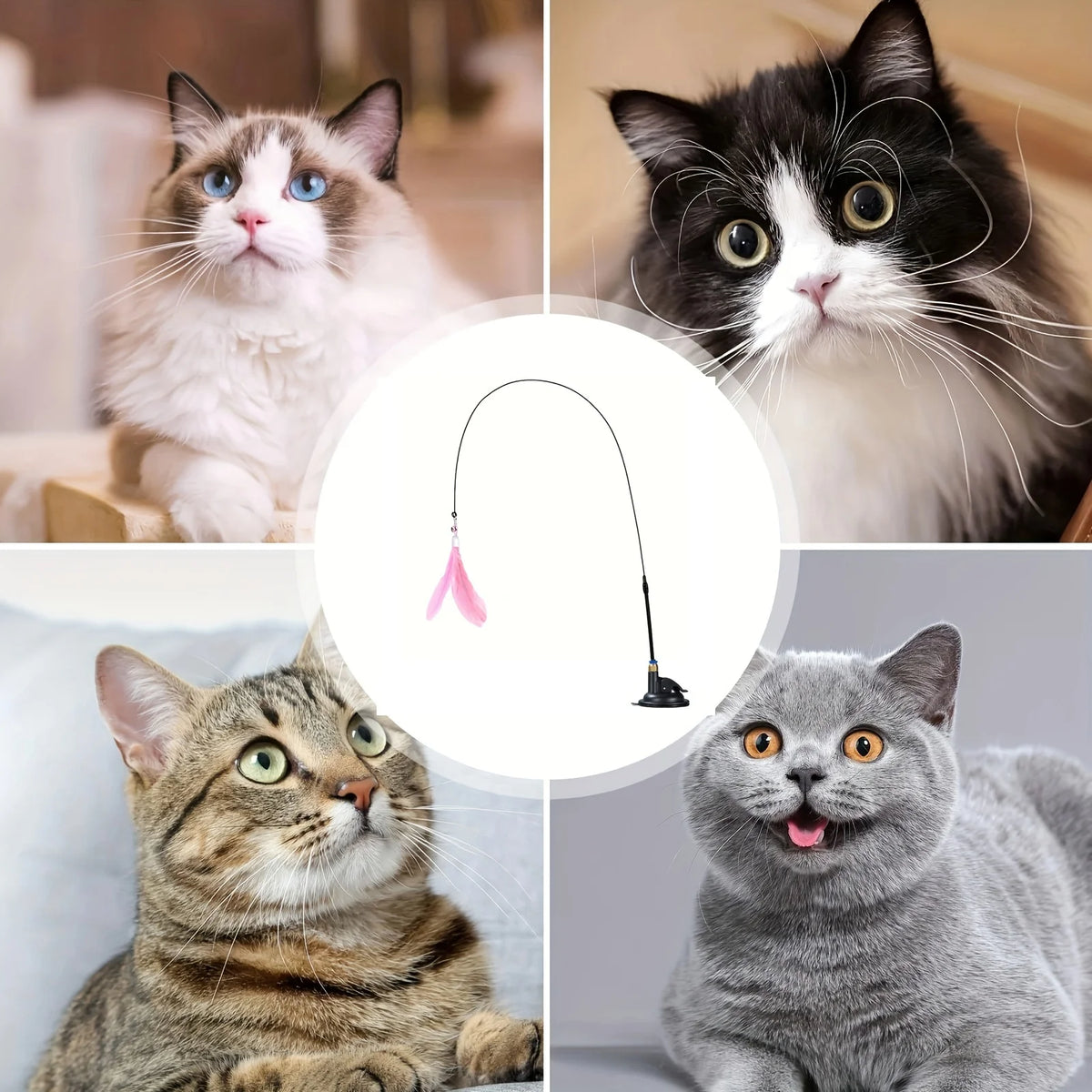 Cat Feather Wand Teaser – Interactive Bell & Feather Toy with Suction Cup Base