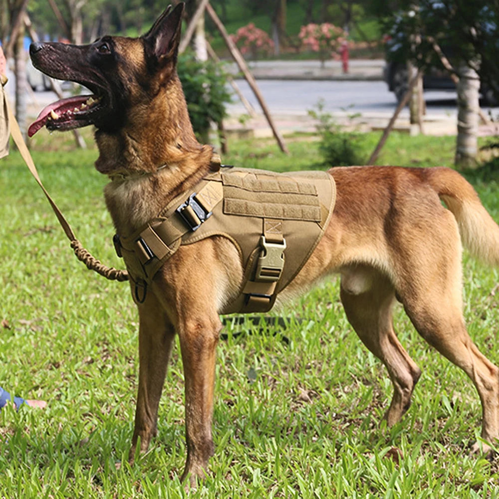 Tactical Dog Harness – Military Training Vest for Large Dogs (German Shepherd, Malinois & More)