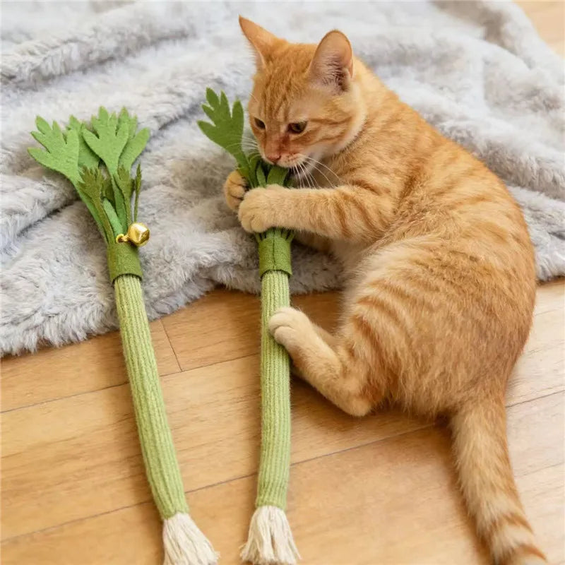 Catnip Molar Stick Cat Toy – Interactive Teeth Cleaning Chew Toy for Cats