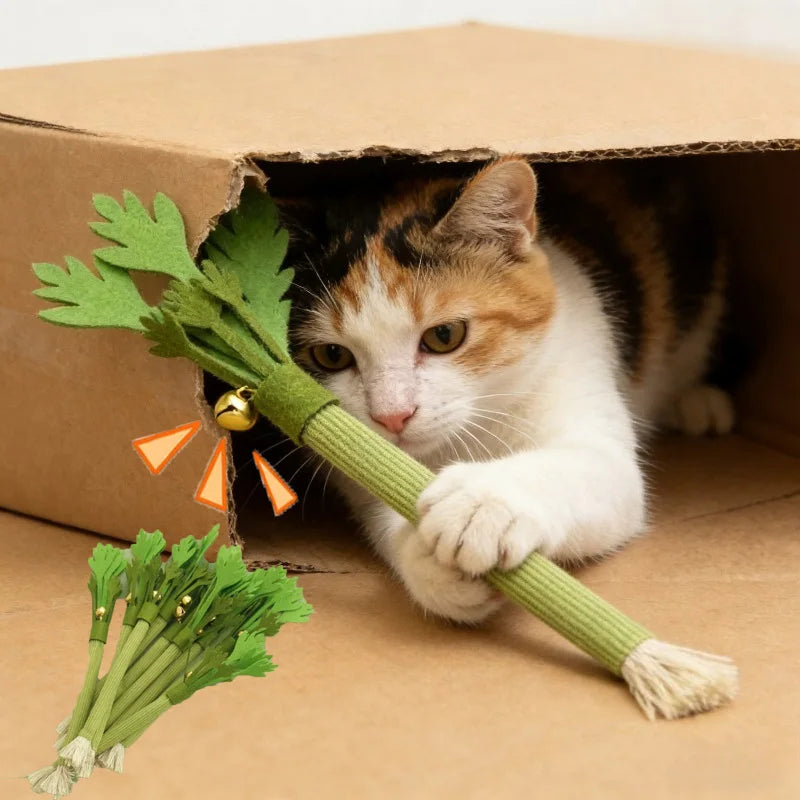 Catnip Molar Stick Cat Toy – Interactive Teeth Cleaning Chew Toy for Cats