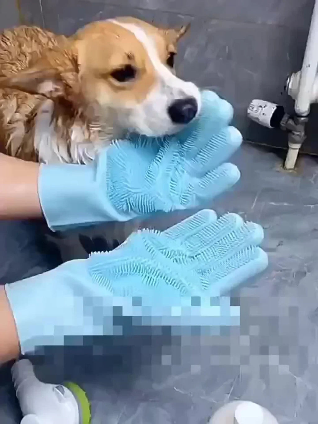 Silicone Pet Grooming & Bathing Gloves