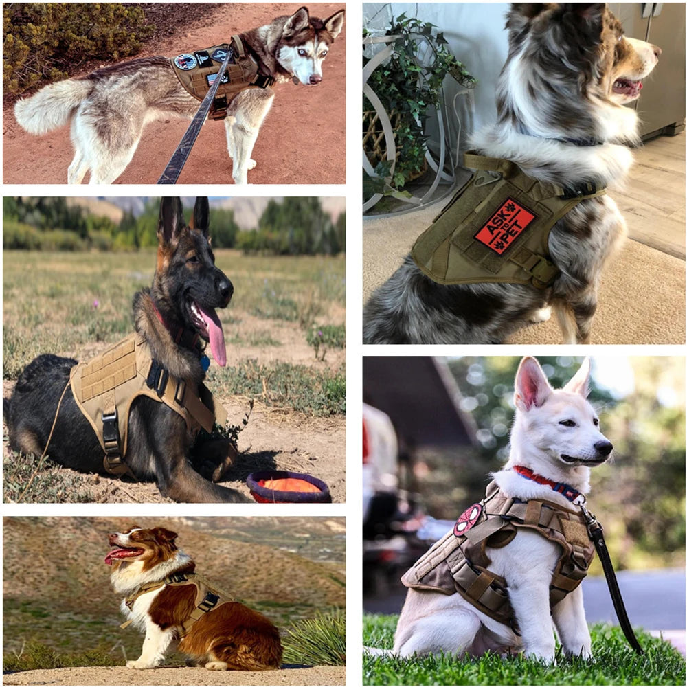Tactical Dog Harness – Military Training Vest for Large Dogs (German Shepherd, Malinois & More)