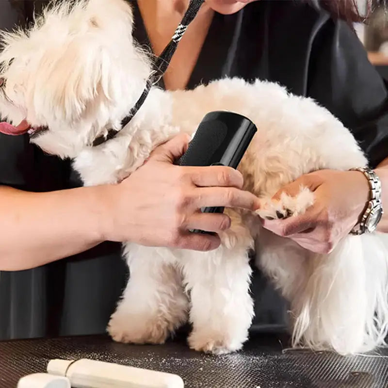 Pet Deshedding Brush – Ergonomic Grooming Comb & Hair Remover for Dogs & Cats