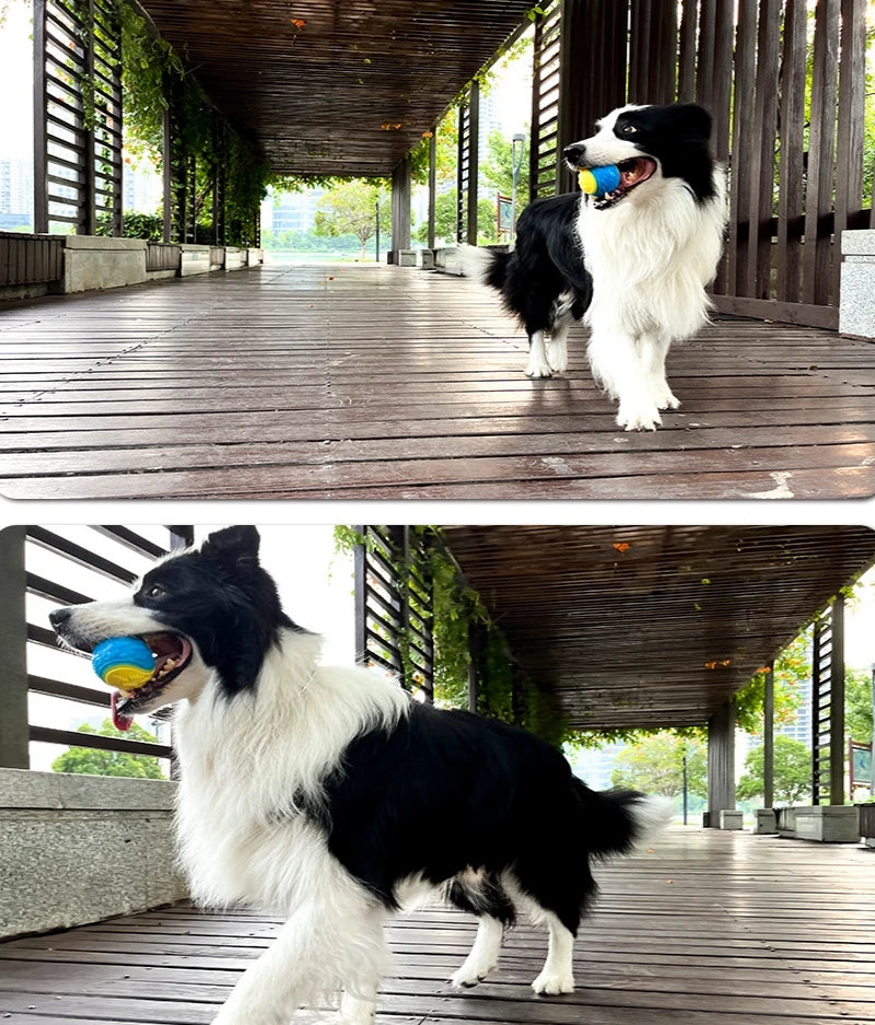 Soft TPR Squeaky Ball for Dogs – Interactive, Bite-Resistant, Teeth Cleaning, 6.5cm