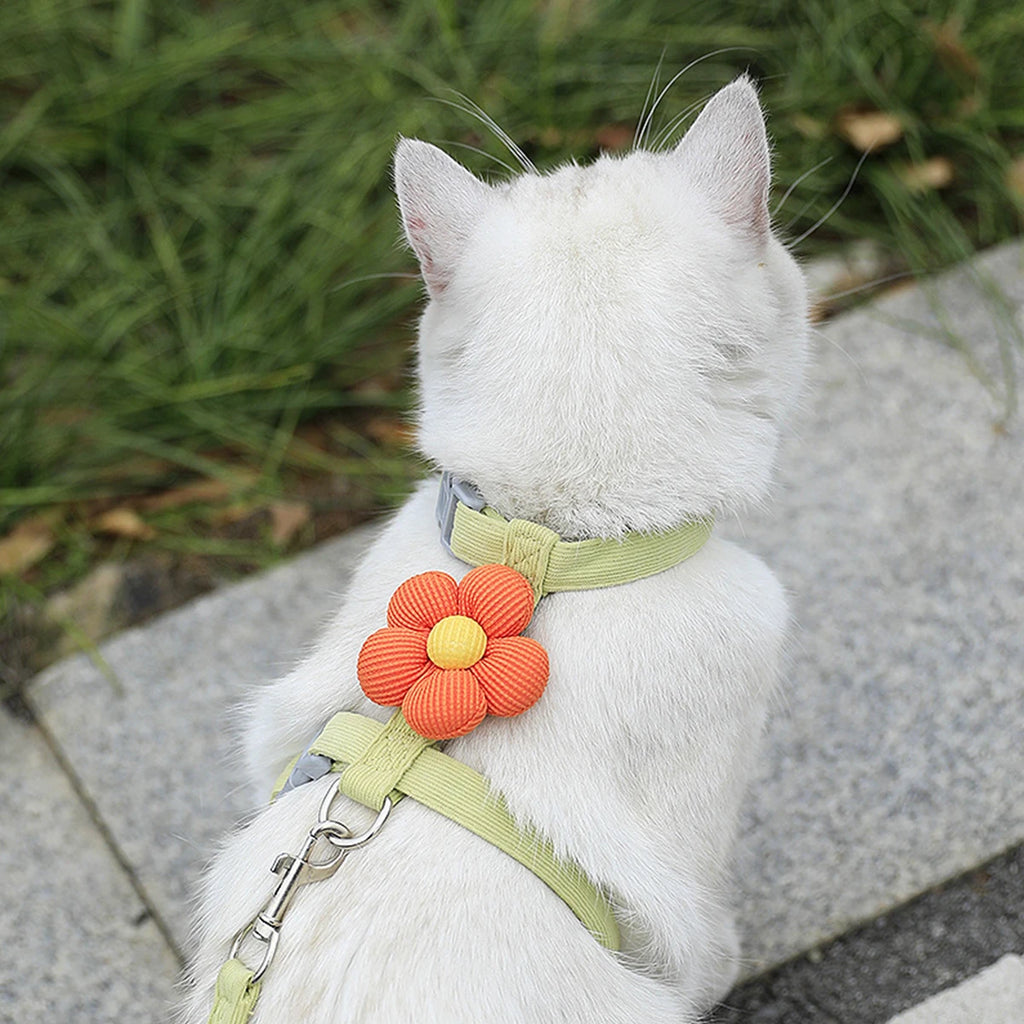 Cute Cat Harness & Leash Set – Adjustable Breathable Escape-Proof Vest