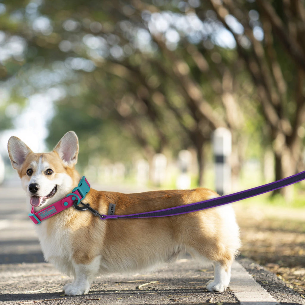 Long Dog Training Leash – Bicolor Nylon Rope 1.5m to 15m for Small & Large Dogs