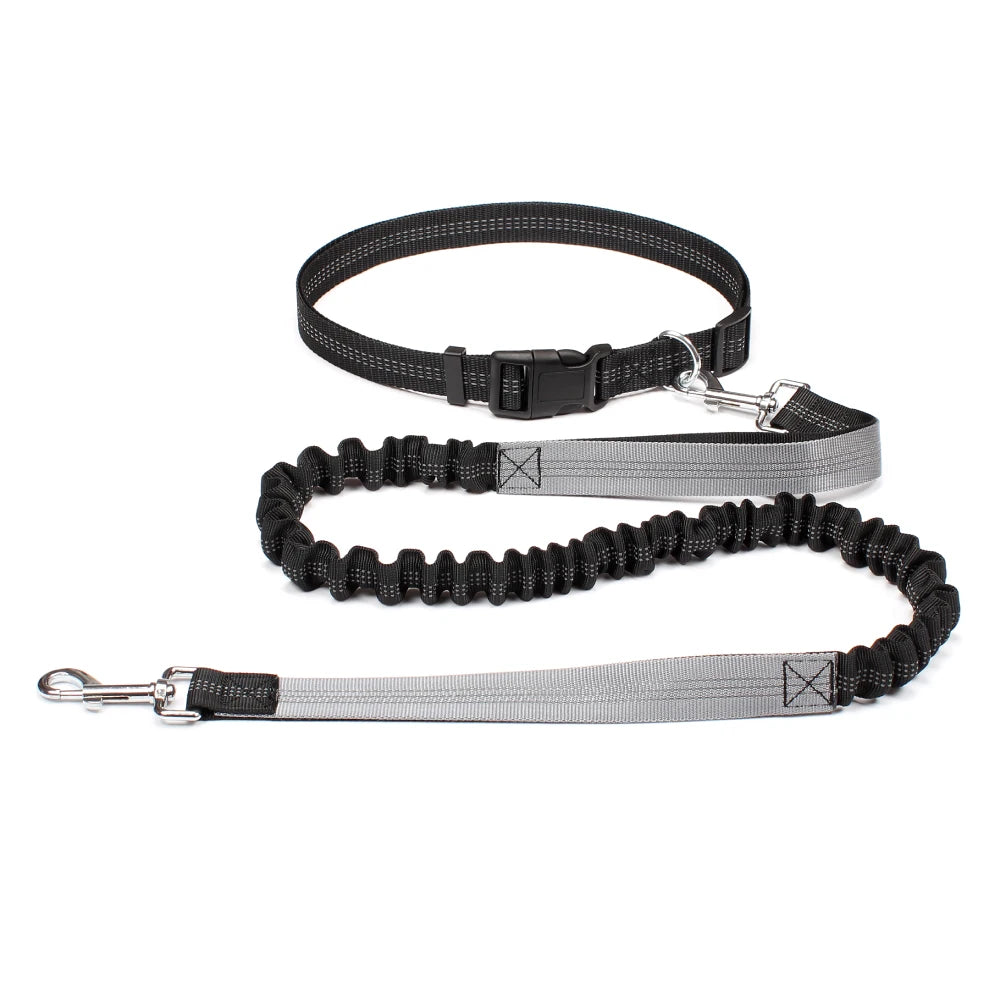 Hands-Free Dog Leash with Waist Belt – Adjustable Bungee Leash for Running & Walking