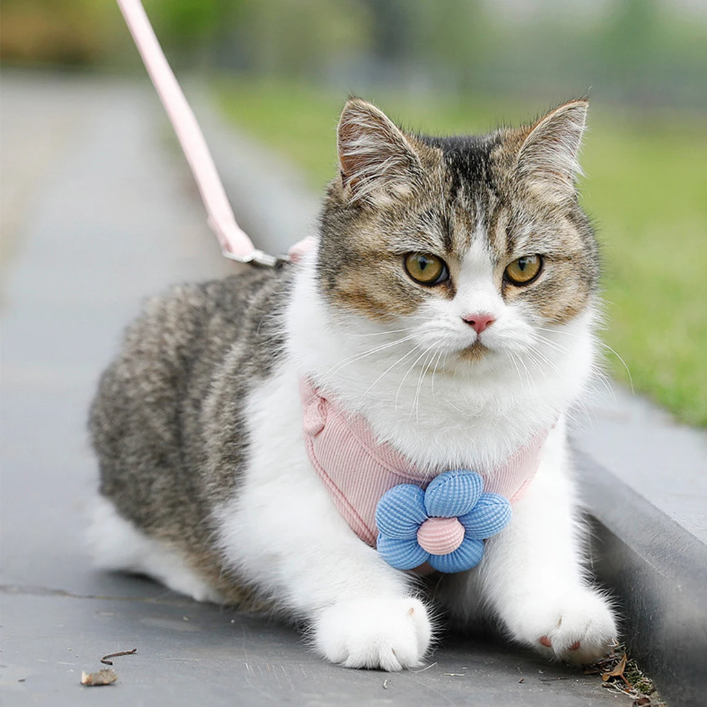 Cute Cat Harness & Leash Set – Adjustable Breathable Escape-Proof Vest