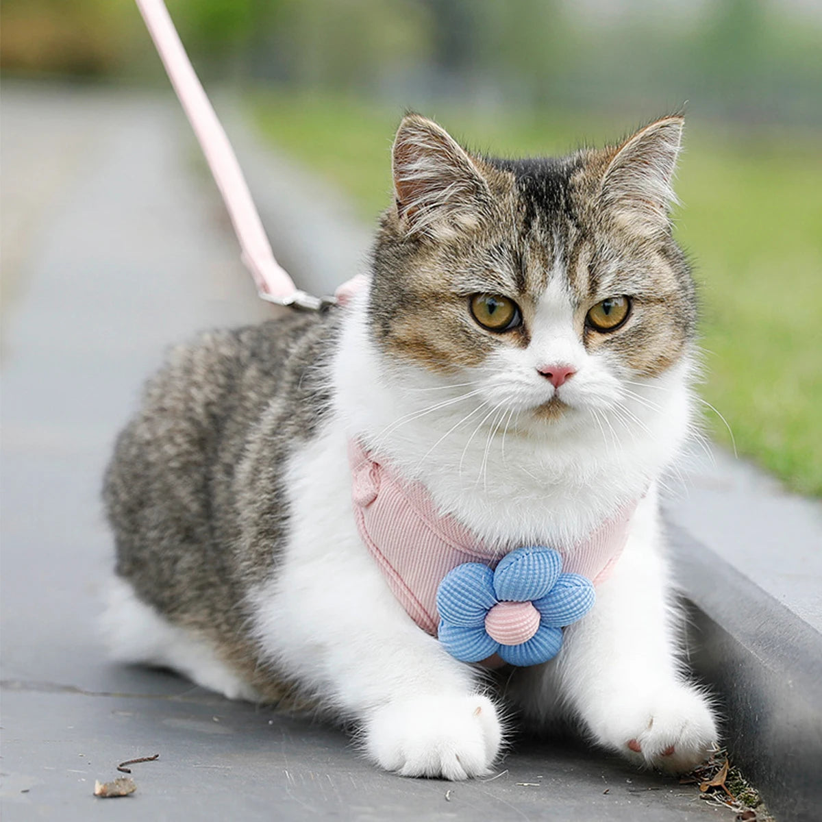 Cute Cat Harness & Leash Set – Adjustable Breathable Escape-Proof Vest