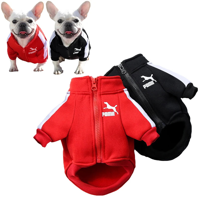 Baseball Dog Jacket – Winter Sweatshirt for Small & Medium Dogs