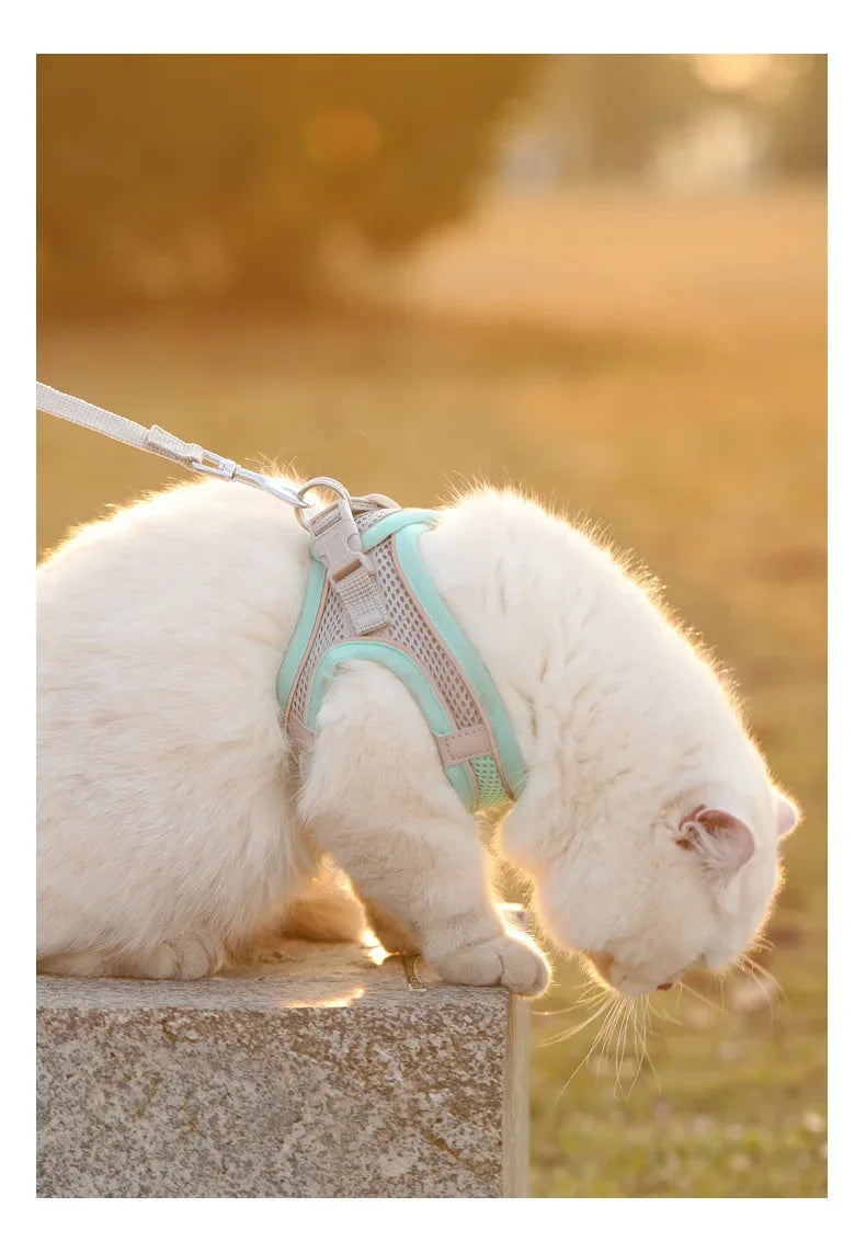 Safety Vest Harness for Cats & Small Dogs – Reflective Breathable Adjustable