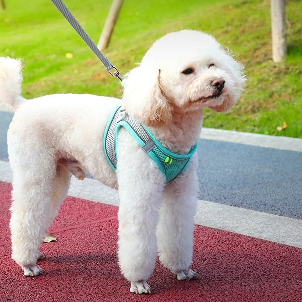 Cat & Dog Harness with Leash Set – Reflective Breathable Vest for Small Pets