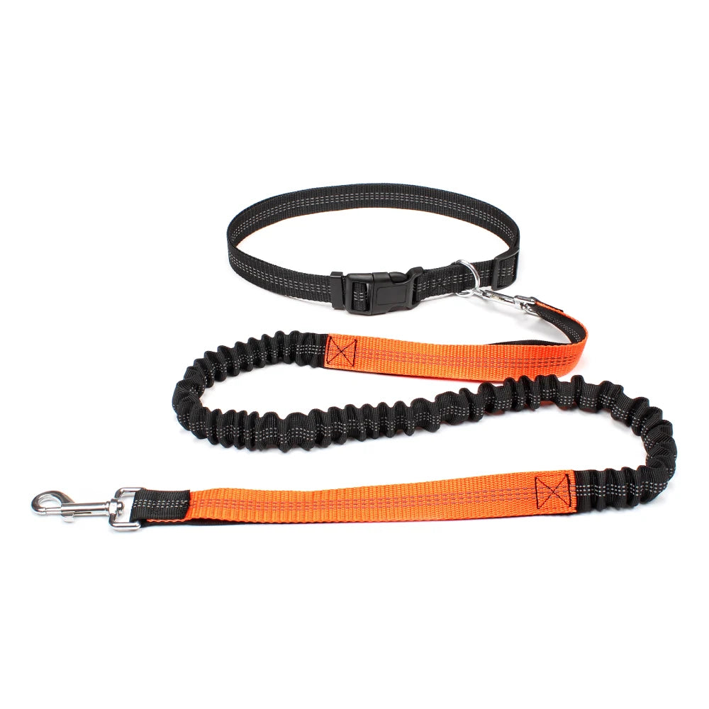 Hands-Free Dog Leash with Waist Belt – Adjustable Bungee Leash for Running & Walking