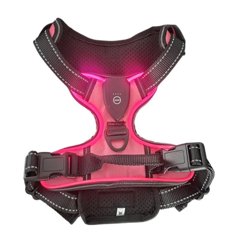 LED Light-Up Dog Harness – Rechargeable Glowing Vest for Safe Night Walks