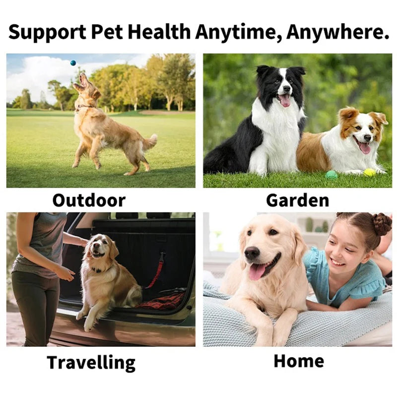 Disposable Pet Finger Toothbrush — Teeth Cleaning Wipes