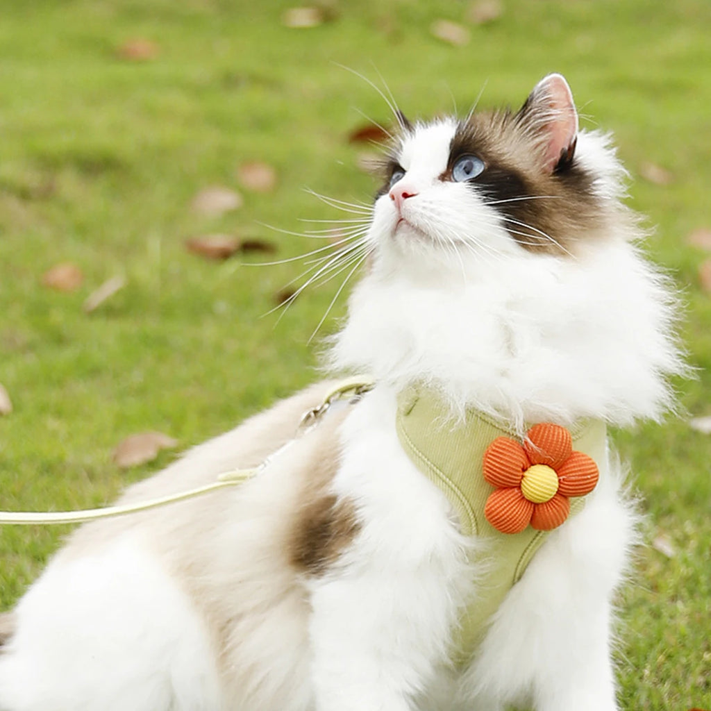 Cute Cat Harness & Leash Set – Adjustable Breathable Escape-Proof Vest