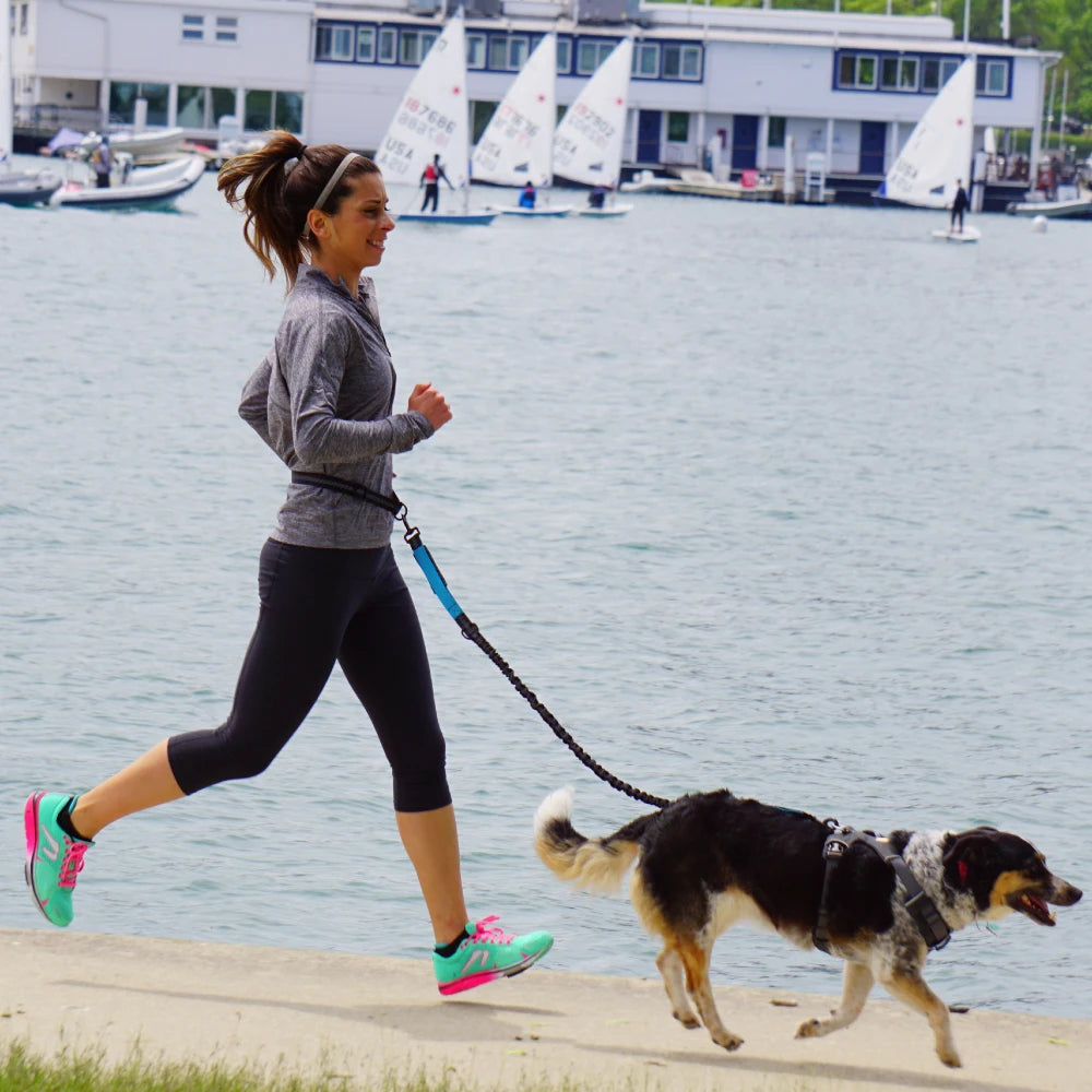 Hands-Free Dog Leash with Waist Belt – Adjustable Bungee Leash for Running & Walking