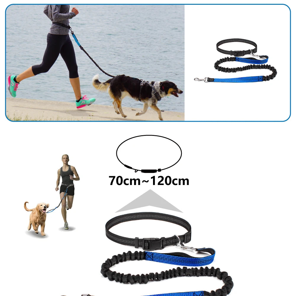 Hands-Free Dog Leash with Waist Belt – Adjustable Bungee Leash for Running & Walking