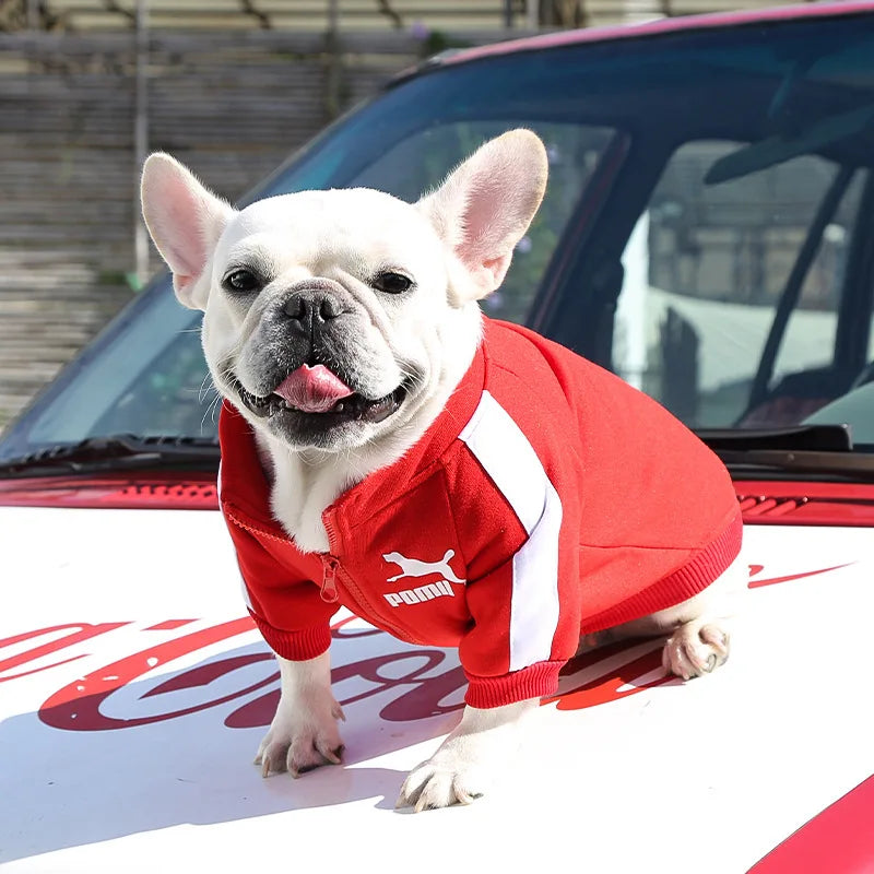 Baseball Dog Jacket – Winter Sweatshirt for Small & Medium Dogs