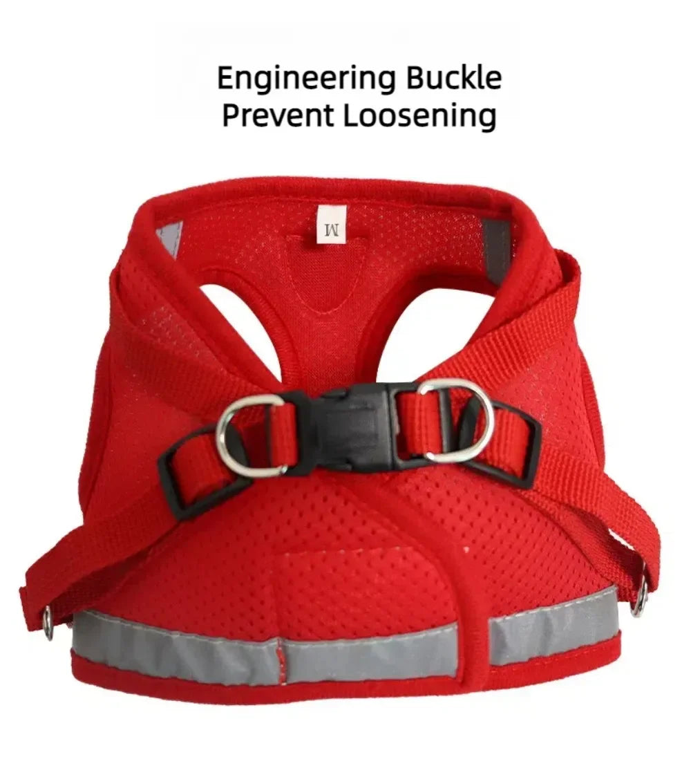 Cat Harness & Leash Set – Adjustable Reflective Escape-Proof Mesh Vest
