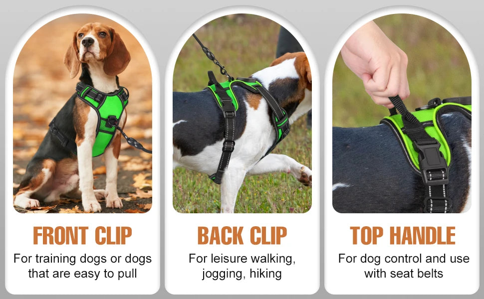 LED Light-Up Dog Harness – Rechargeable Glowing Vest for Safe Night Walks